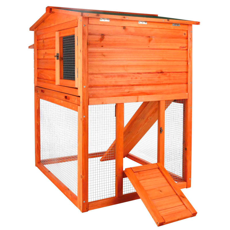 Tucker Murphy Pet™ Madeleine 14.3 Square Feet Chicken Coop with Chicken